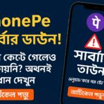 PhonePe দিয়ে টাকা পাঠাতে গিয়ে ঝামেলায় পড়লাম – সাবধান থাকুন!